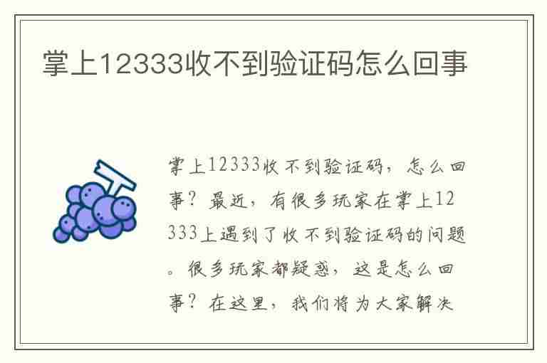 掌上12333收不到验证码怎么回事(掌上12333收不到验证码怎么回事儿)